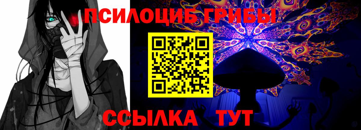 Галлюциногенные грибы прущие грибы Березники