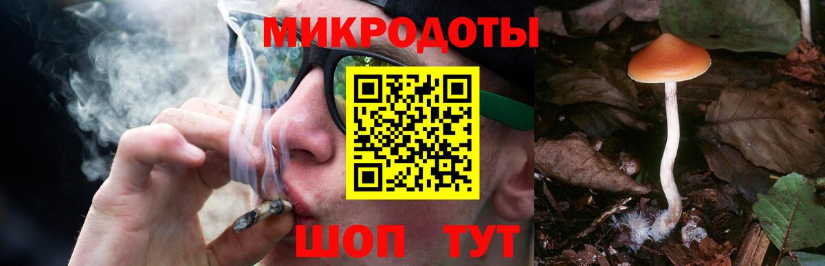 Березники  Псилоцибиновые грибы GOLDEN TEACHER  Вход с VPN 